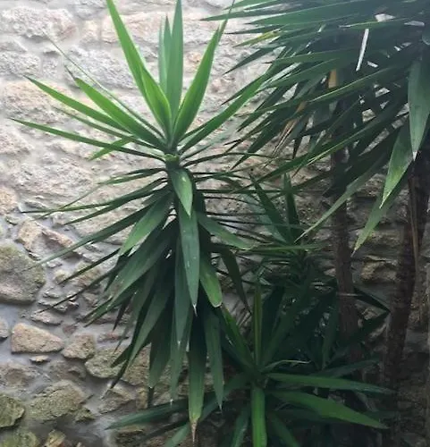 Lägenhet Casa Da Nau